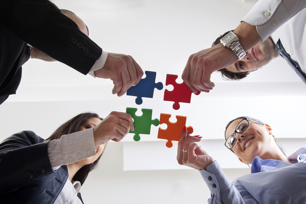 Crear la cultura para la profesionalización de la empresa familiar y protocolo familiar como estándar de sucesión